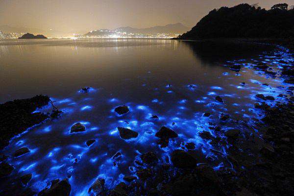 تصویر بالا مربوط به هزاران عروس دریایی در ساحل چین می باشد که باعث خلق صحنه حیرت انگیز و جالبی شده